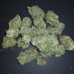 buy kosher kush online Kosher Kush is a mostly Indica hybrid that won the High Times Medical Cannabis Cup in 2012. It has the distinction...